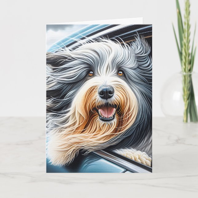 Bearded Collie in bil Window Kort (Framsida)
