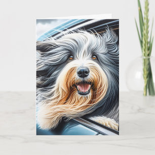 Bearded Collie in bil Window Kort
