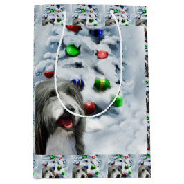 Bearded Collie Jul