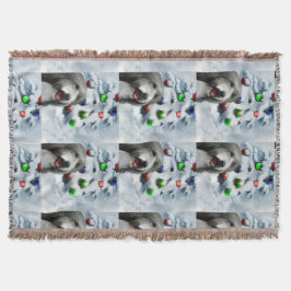 Bearded Collie-jul Filt