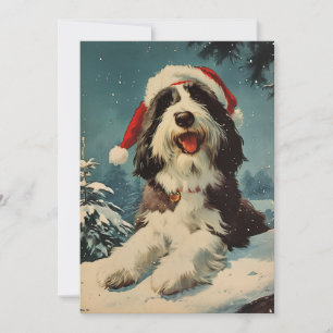 Bearded Collie-jul Julkort