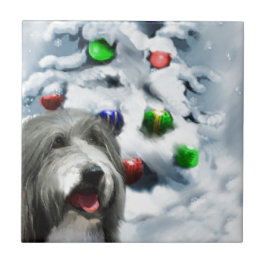 Bearded Collie-jul Kakelplatta