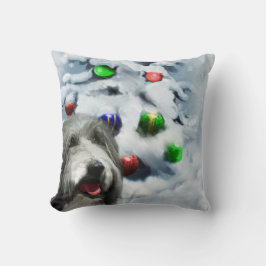 Bearded Collie-jul Kudde