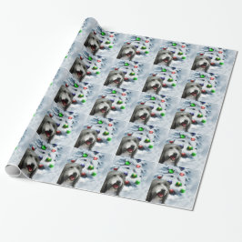 Bearded Collie-jul Presentpapper