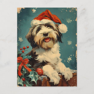 Bearded Collie-jul Vykort