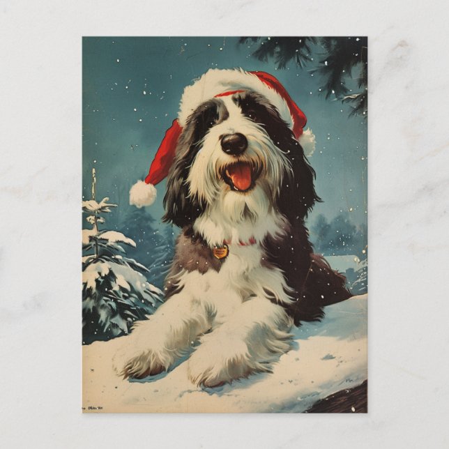 Bearded Collie-jul Vykort (Framsida)