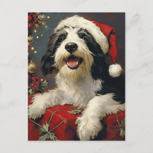 Bearded Collie-jul Vykort