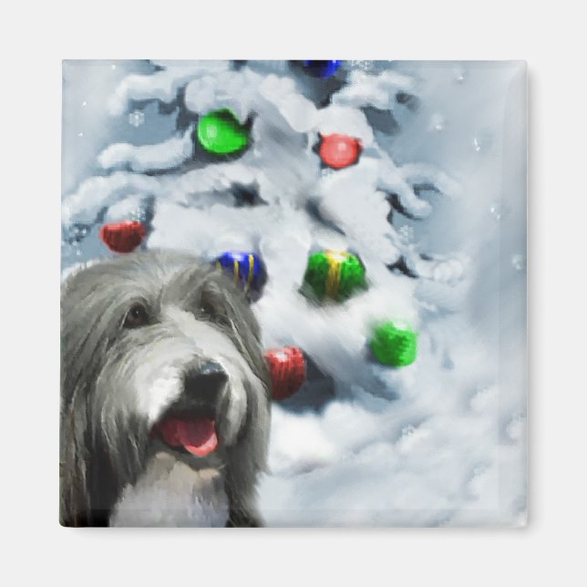 Bearded Collie-julklappar Magnet (Framsidan)