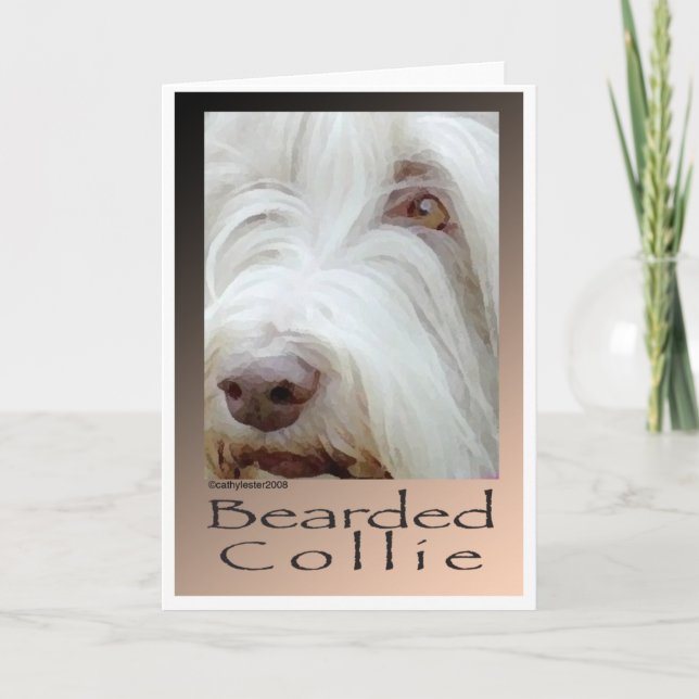 Bearded Collie Kort (Framsida)