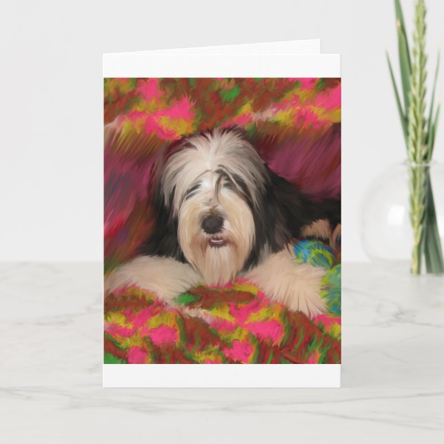 Bearded Collie Kort (Framsida)