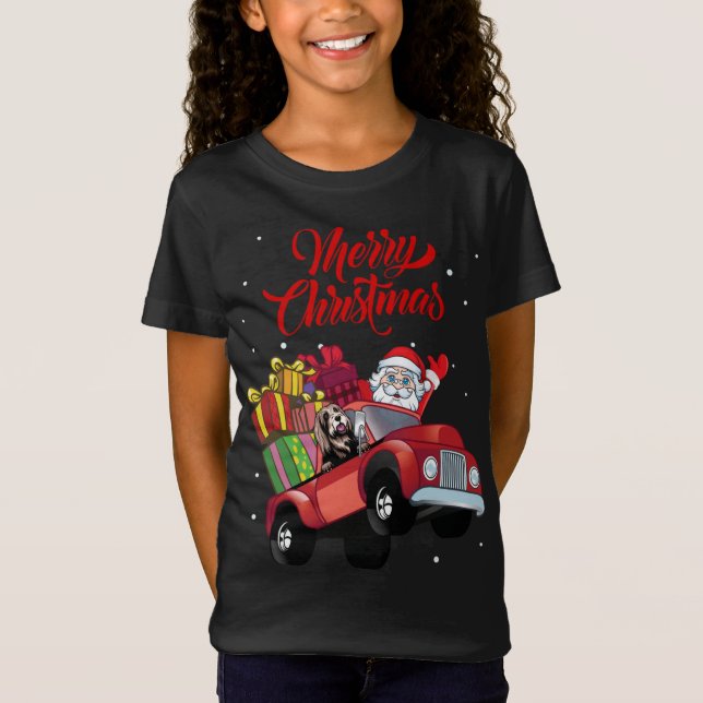 Bearded Collie med Jultomten i Röda Lastbil Hund T Shirt (Framsida)