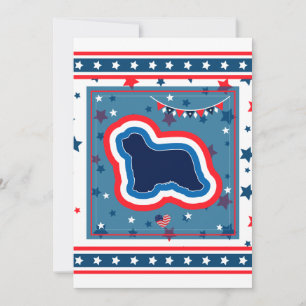 Bearded Collie Patriotisk Röd Vit Blå 4:e Juli Julkort