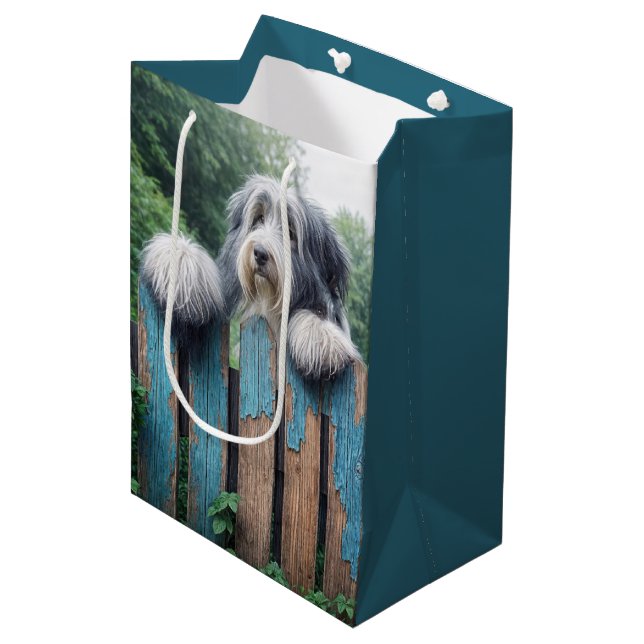 Bearded Collie Peeking Over a Fence (Framsidan Vinklad)