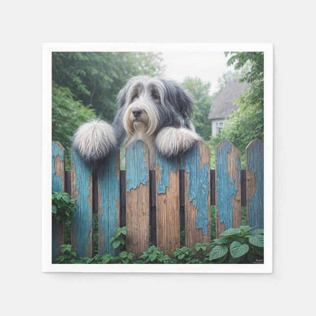 Bearded Collie Peeking over Old Fence Pappersservett (Framsidan)