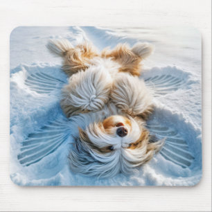 Bearded Collie Snö Angel Musmatta