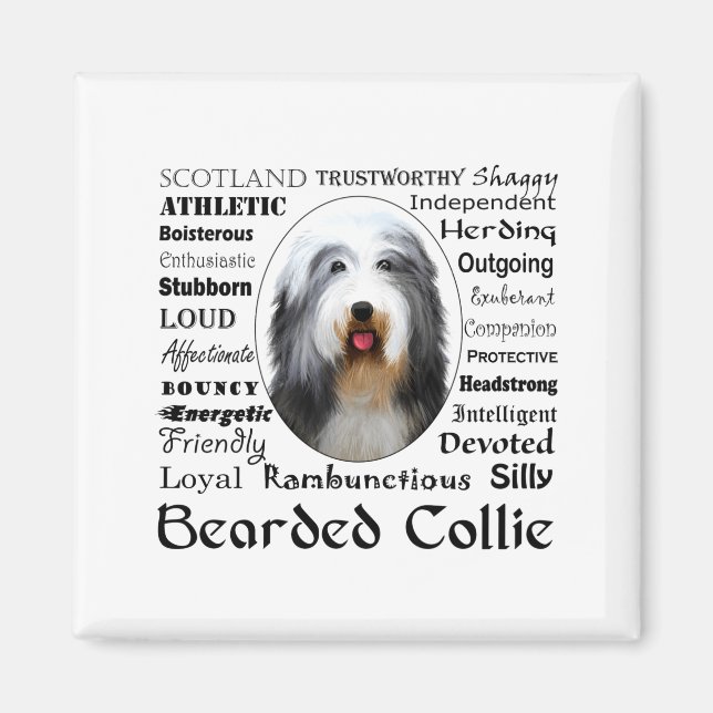 Bearded Collie T Shirt  Magnet (Framsidan)