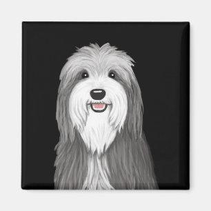 Bearded Collie Tecknad hund Magnet