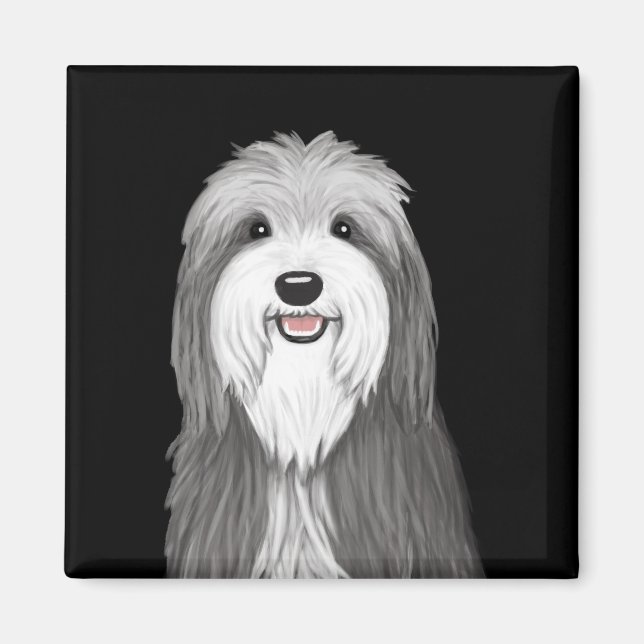 Bearded Collie Tecknad hund Magnet (Framsidan)