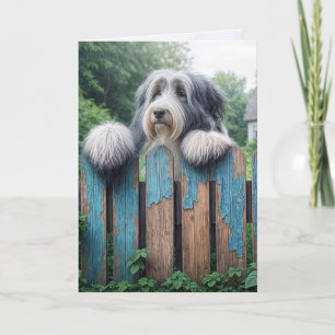 Bearded Collie Thinking Kort