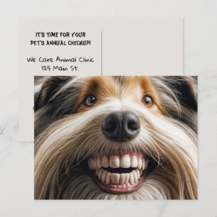 Bearded Collie Toothy Smile Vykort
