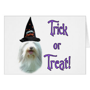 Bearded Collie Trick Hälsningskort