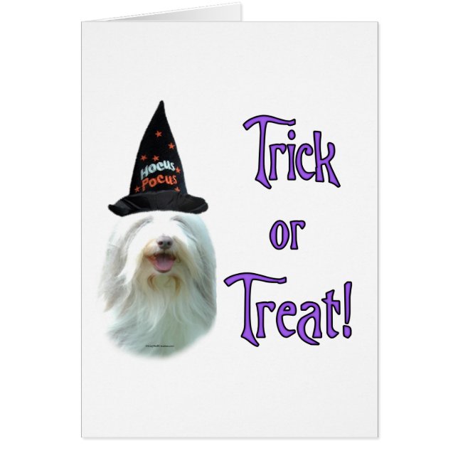 Bearded Collie Trick Hälsningskort (Framsidan)