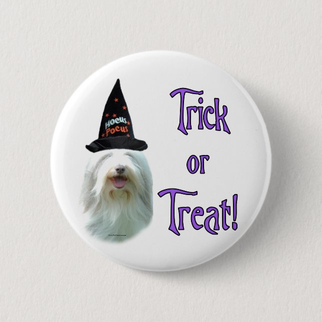 Bearded Collie Trick Knapp (Framsida)