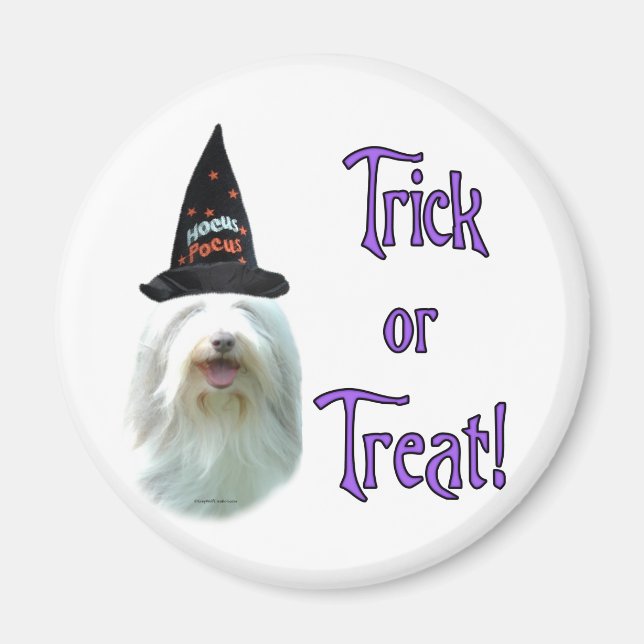 Bearded Collie Trick Magnet (Framsidan)