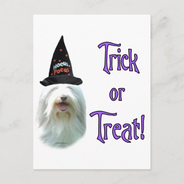 Bearded Collie Trick Vykort (Framsida)