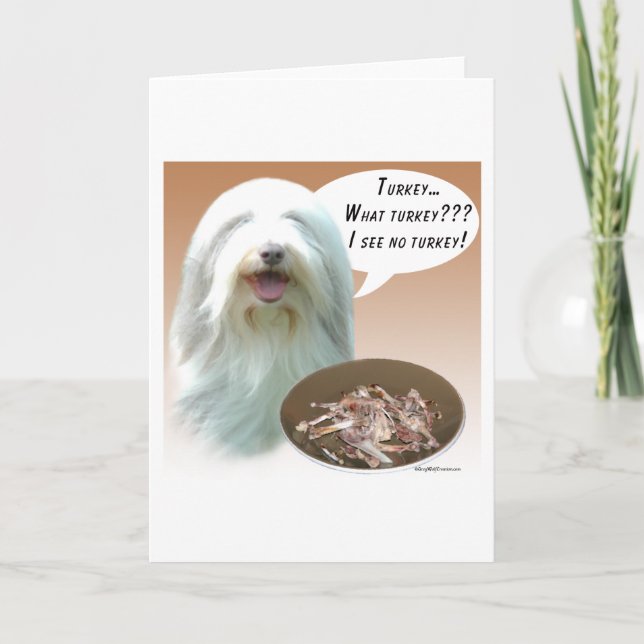 Bearded Collie Turkey Helgkort (Framsida)