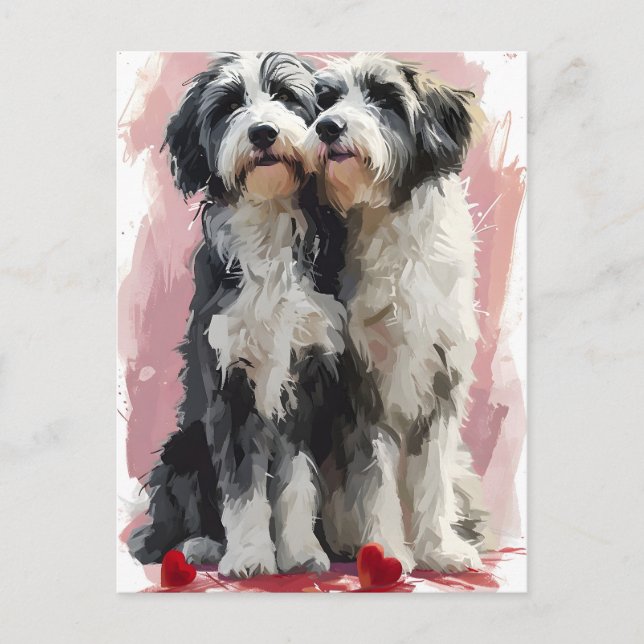 Bearded Collie Valentines dag Vykort (Framsida)