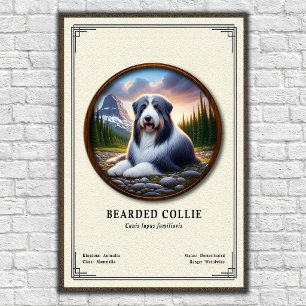 Bearded Collie Zoologi Serie Poster
