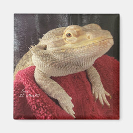 Bearded Dragon Black and Red Square Magnet
