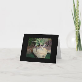 Bearded Dragon Blank Notecard, baby Kort