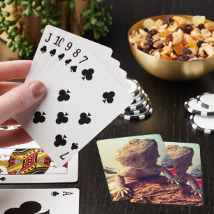 Bearded Dragon Casinokort