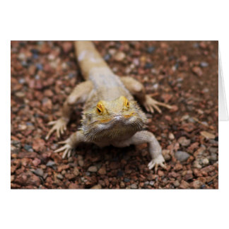 Bearded Dragon Hälsningskort
