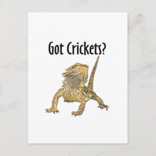 Bearded Dragon Har Cricks Vykort