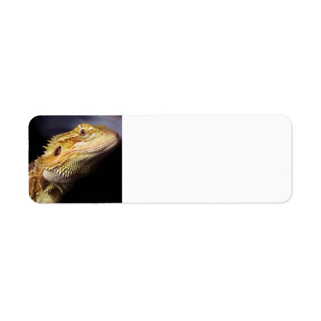 Bearded Dragon Head 2 Returadress Etikett (Framsidan)