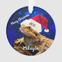 Bearded Dragon i Santa Hat  