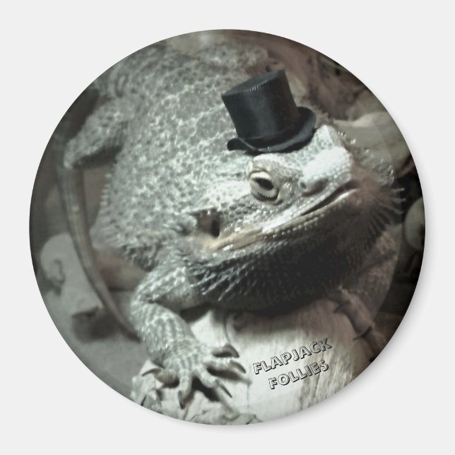Bearded Dragon i Top hat Magnet (Framsidan)