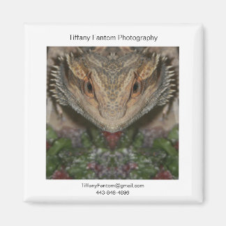 Bearded Dragon Promo Biet Magnet