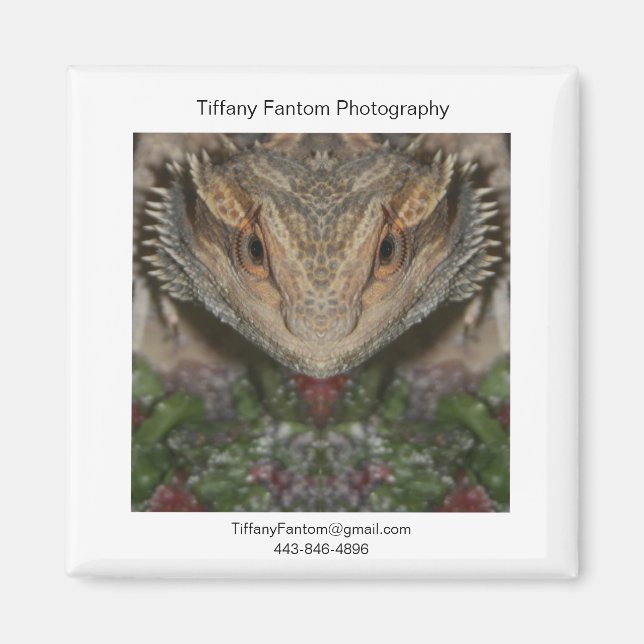 Bearded Dragon Promo Biet Magnet (Framsidan)
