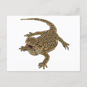 Bearded Dragon Vykort