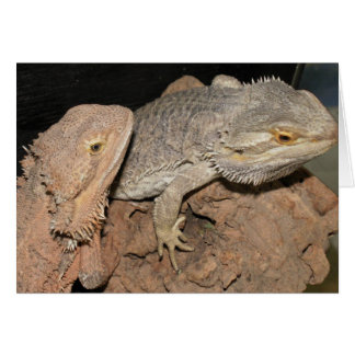 Bearded Dragons Hälsningskort