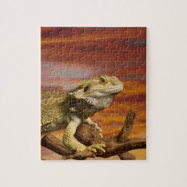 Bearded Dron (Pogona Vitticeps) på gren. Pussel (Vertikal)