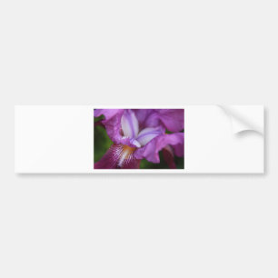 Bearded German Iris Bildekal