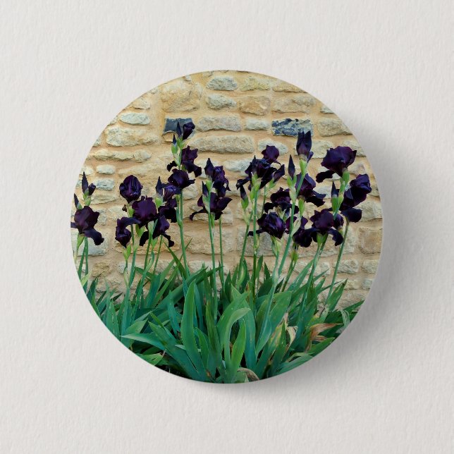 Bearded Iris Badge Knapp (Framsida)