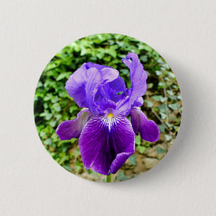 Bearded Iris Badge Knapp
