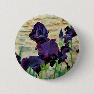Bearded Iris Badge Knapp