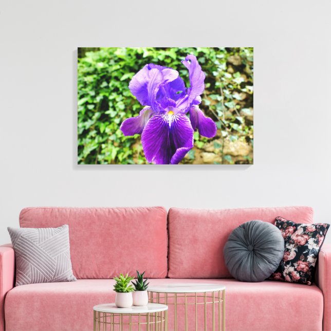 Bearded Iris Canvastryck (Insitu (Vardagsrum))